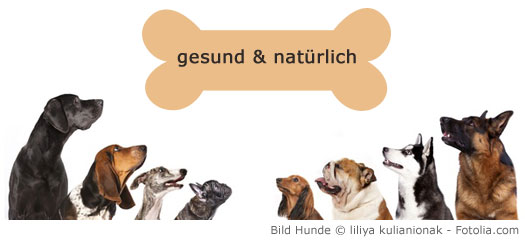 Hundeernährung - gesund und natürlich