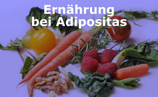 Ernährung bei Adipositas