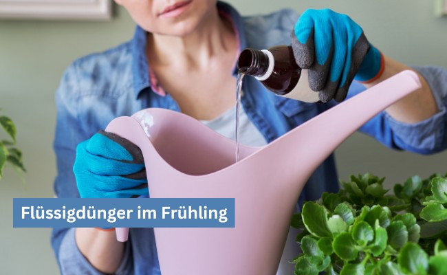 Flüssigdünger im Frühling: So starten Sie erfolgreich in die Gartensaison