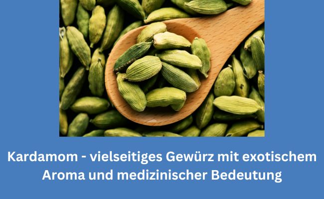 Kardamom - vielseitiges Gewürz mit exotischem Aroma und medizinischer Bedeutung