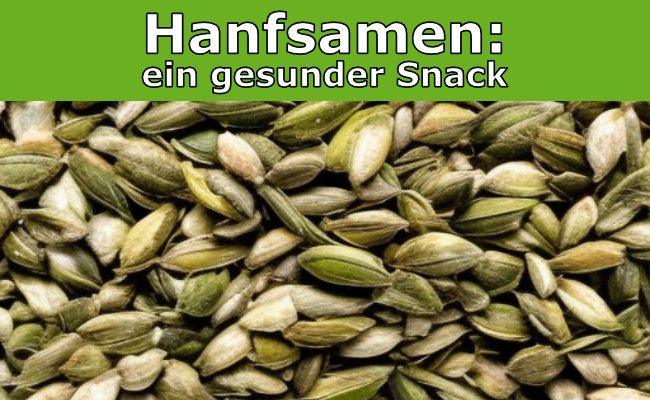 Nährstoffe Hanfsamen: ein gesunder Snack