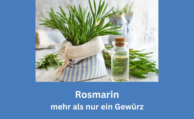 Rosmarin - mehr als nur ein Gewürz