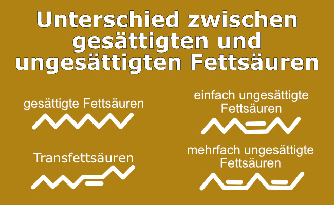 Unterschied zwischen gesättigten und ungesättigten Fettsäuren