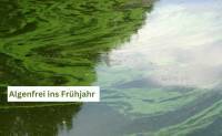 Algenfrei ins Frühjahr: Die besten Algenkiller Teich-Methoden für Ihren Teich