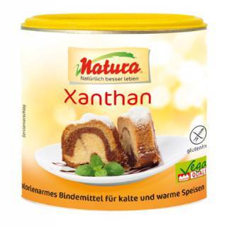 Xanthan 100g