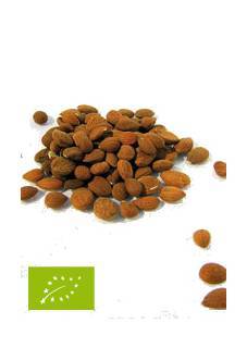 my-mosaik Bio Aprikosenkerne, bitter 500g - Saatgut