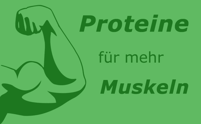 Muskelaufbau mit Proteinen