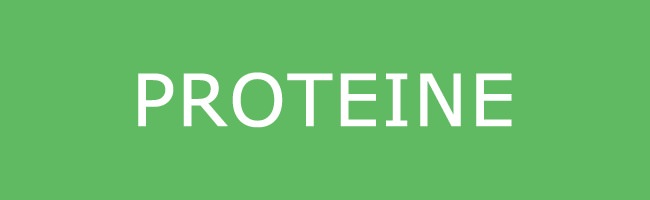 Poteine