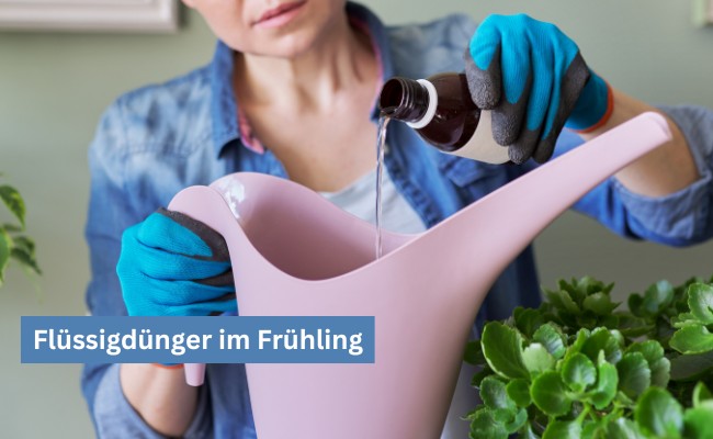 Flüssigdünger im Frühling