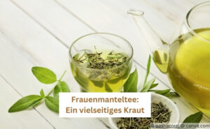 Frauenmanteltee kaufen: Ein vielseitiges Kraut