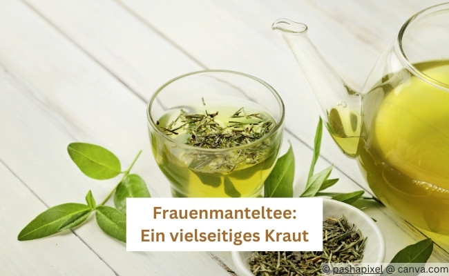 Frauenmanteltee kaufen: Ein vielseitiges Kraut