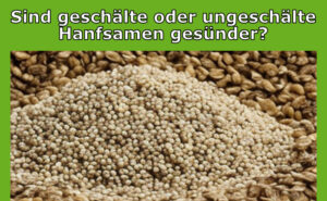 geschälte oder ungeschälte Hanfsamen