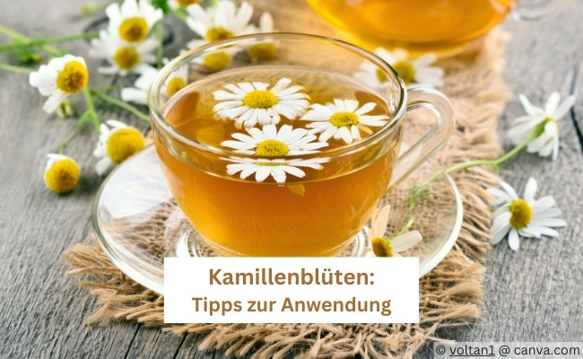 Kamillenblüten kaufen