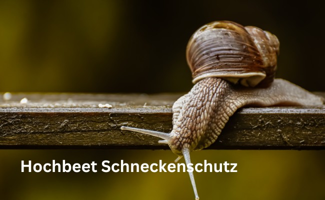 Hochbeet Schneckenschutz